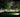 Do LED Floodlights Attract Bugs at Night?