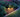 Do Solar Lights Really Work in the Shade?