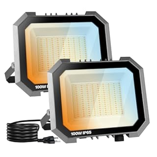 2 Pack LED Flood Lights Outdoor